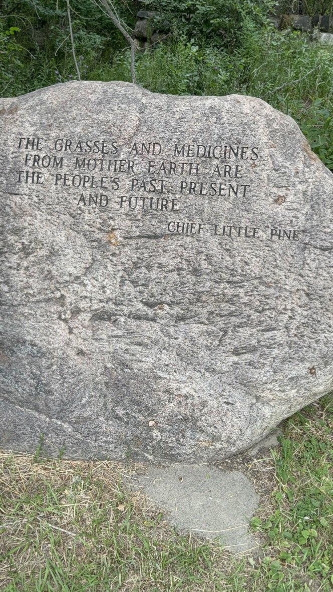 Stone engraved with a Chief Little Pine quote about grasses and medicines from Mother Earth
