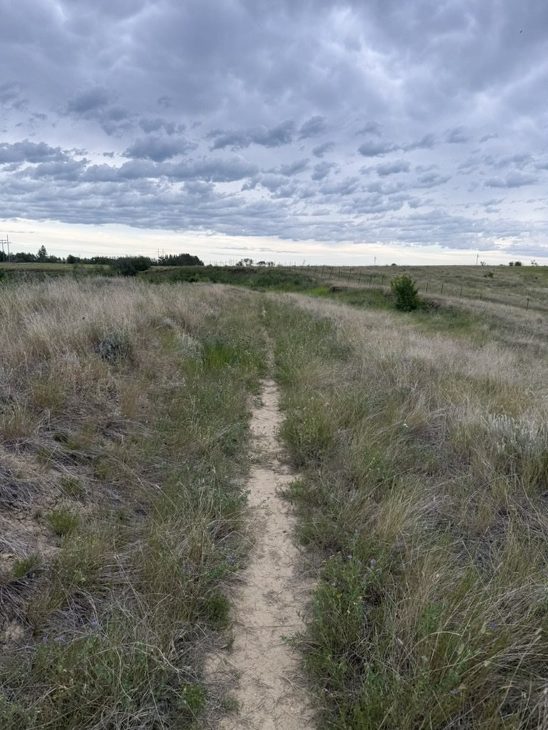 Narrow dirt trail through tall prairie grass under a cloudy sky