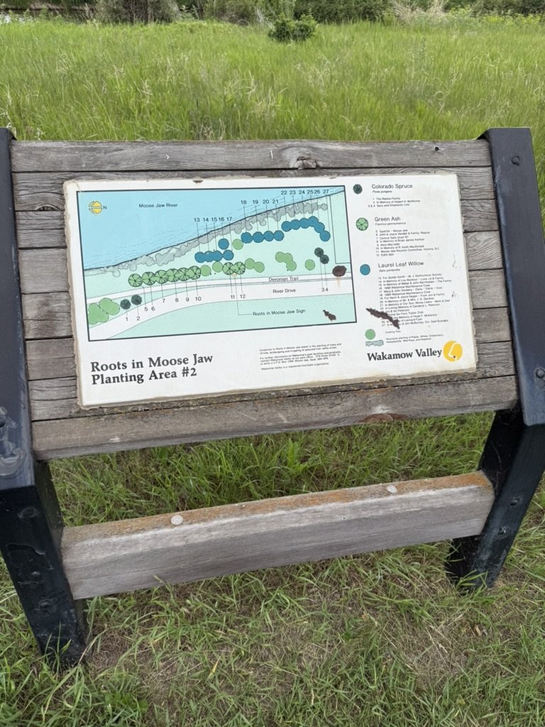 Educational sign about tree planting in Moose Jaw’s Wakamow Valley