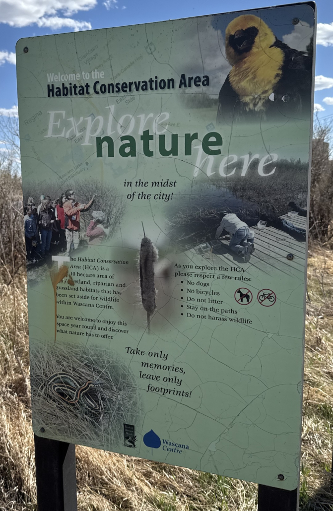 Explore Nature Here Educational sign at the Wascana Habitat Conservation Area entrance describing wildlife, conservation rules, and habitat information.