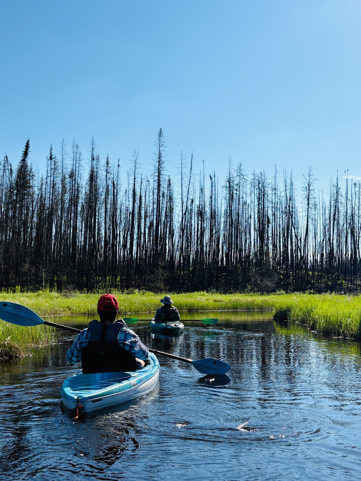 Two kayakers paddling through Meridian Creek in northeast Saskatchewan beside a recovering boreal forest.