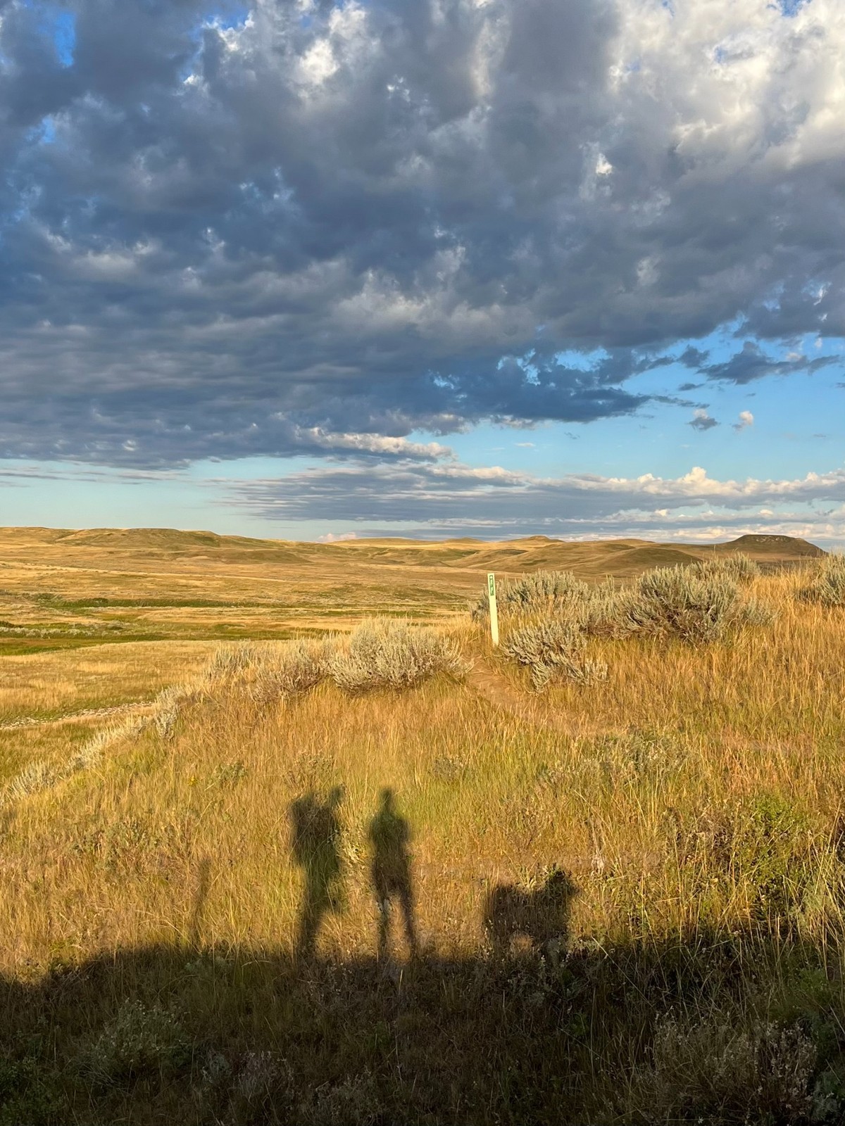 Two long shadows stretching across a prairie trail beneath dramatic clouds in Grasslands National Park.