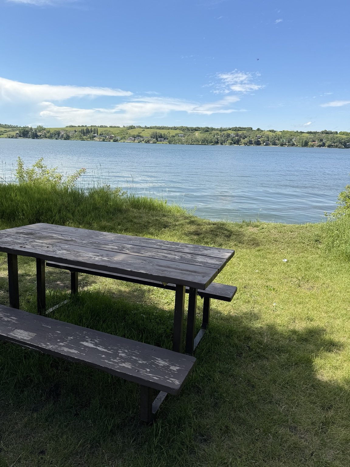 Picnic table overlooking Blackstrap Lake