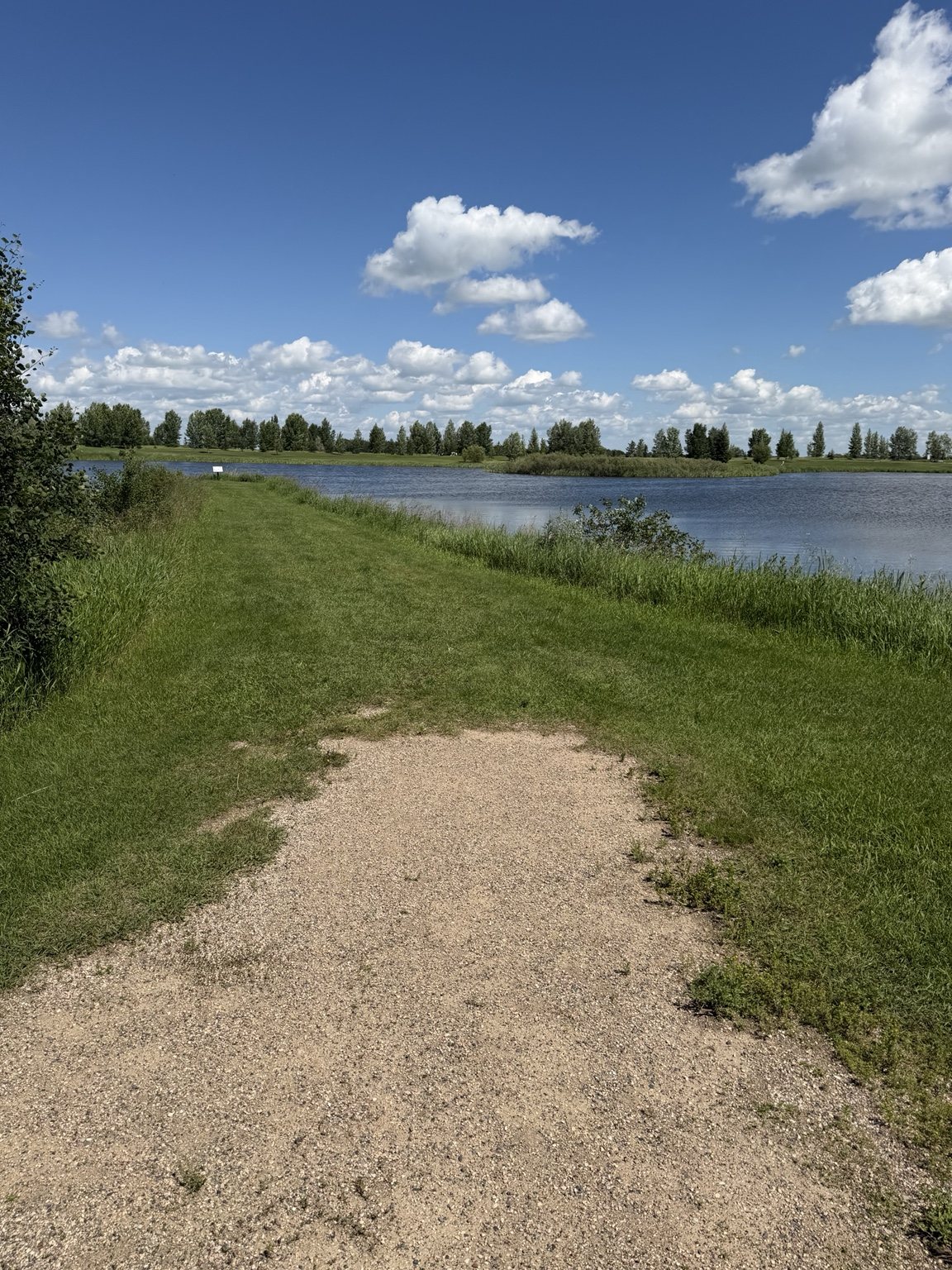 Walking trail beside wetlands at Water Ridge Park