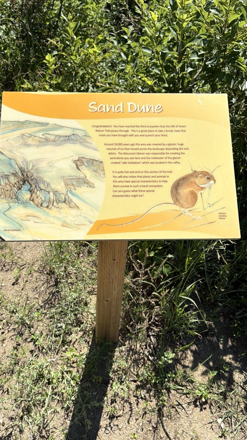 Sand Dune interpretive sign explaining the glacial landscape at Pike Lake
