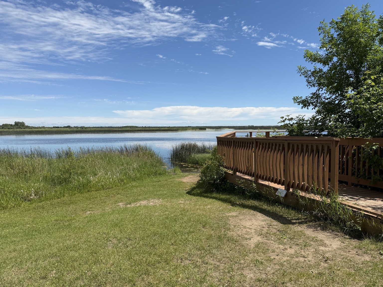 Pike Lake shoreline and wooden viewing deck under a bright summer sky