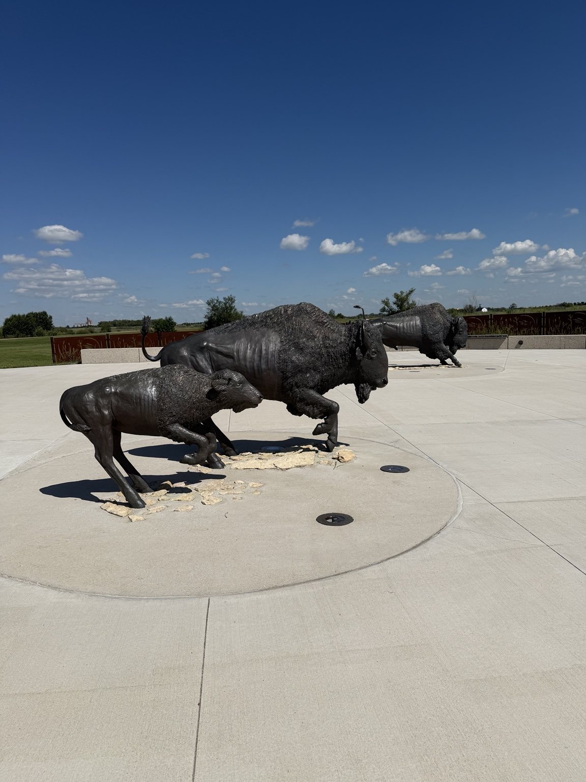 Bison sculptures near the Wanuskewin Visitor Centre