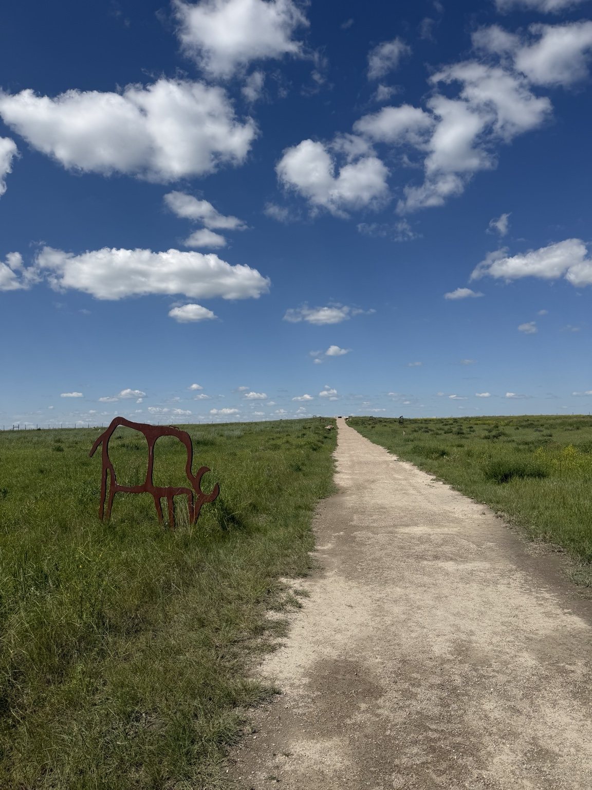 Open prairie trail at Wanuskewin lined with bison silhouettes