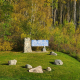 Blue and white "Welcome to Duck Mountain Provincial Park" sign with a stone pillar base, surrounded by green grass and yellow autumn trees.
