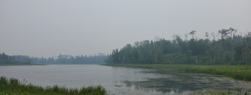 View of Madge Lake on a hazy day, with green reeds in the foreground and forested shoreline.