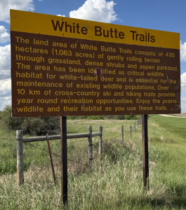 EntranceSign Brown and yellow White Butte Trails information sign standing beside a grassy trail under a blue sky with large white clouds.