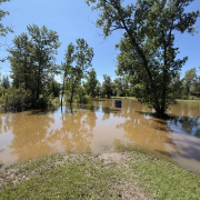 Finlayson Island trail map sign standing in floodwater