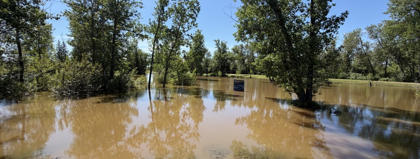 Finlayson Island trail map sign standing in floodwater